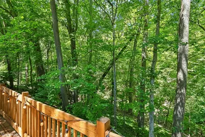 1593 Kingsley Avenue, Akron, OH 44313 - Photo 32