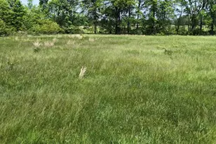 1235 Township Rd 353, Ashland, OH 44866 - Photo 2