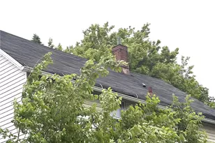 7216 Brinsmade Ave, Loveland, OH 44102 - Photo 24