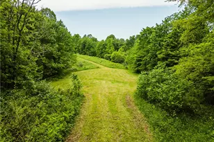 6587 Barkley Rd, Uhrichsville, OH 44683 - Photo 44