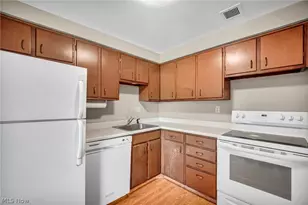 10301 Lake Ave, Loveland, OH 44102 - Photo 14