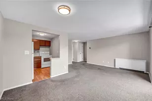 10301 Lake Ave, Loveland, OH 44102 - Photo 8