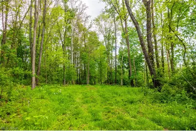 4686 Valley Road, Wooster, OH 44691 - Photo 6
