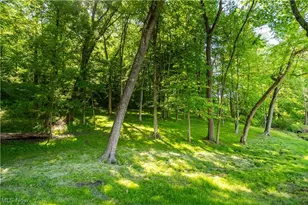10694 Welton Rd NE, Bolivar, OH 44612 - Photo 8