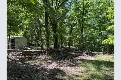 38967 State Route 39 Road, Salineville, OH 43945 - Photo 40