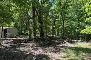 38967 State Route 39 Rd, Salineville, OH 43945 - Photo 44