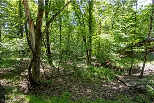 16135 Township Rd 211, Loudonville, OH 44842 - Photo 8