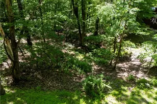 16135 Township Rd 211, Loudonville, OH 44842 - Photo 30
