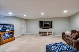 163 Newton Dr, Wadsworth, OH 44281 - Photo 36