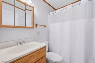 3671 Shields Rd, Canfield, OH 44406 - Photo 36