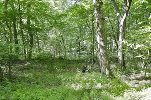 13171 Private Rd 231, Big Prairie, OH 44611 - Photo 30