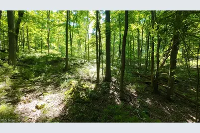 13171 Private Road 231, Big Prairie, OH 44611 - Photo 26