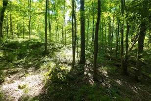13171 Private Rd 231, Big Prairie, OH 44611 - Photo 26