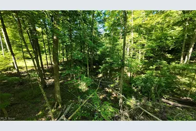 13171 Private Road 231, Big Prairie, OH 44611 - Photo 20