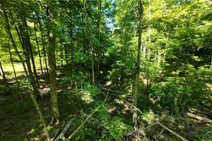 13171 Private Rd 231, Big Prairie, OH 44611 - Photo 20