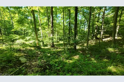 13171 Private Road 231, Big Prairie, OH 44611 - Photo 24