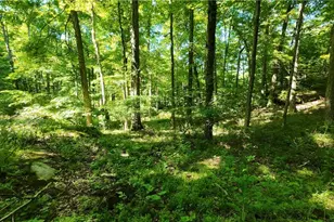 13171 Private Rd 231, Big Prairie, OH 44611 - Photo 24