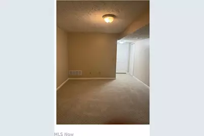 8316 Chester Parkway, Loveland, OH 44103 - Photo 10
