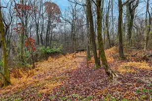 169 Kinderhook Rdg Rd, Newport, OH 45768 - Photo 4
