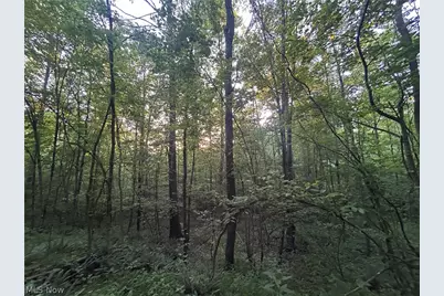 Cr 80, Frazeysburg, OH 43822 - Photo 18