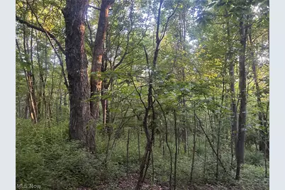Cr 80, Frazeysburg, OH 43822 - Photo 12