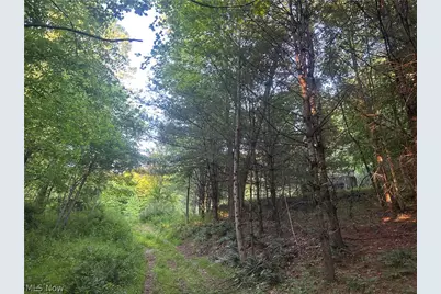 Cr 80, Frazeysburg, OH 43822 - Photo 16