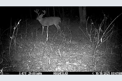Cr 80, Frazeysburg, OH 43822 - Photo 32