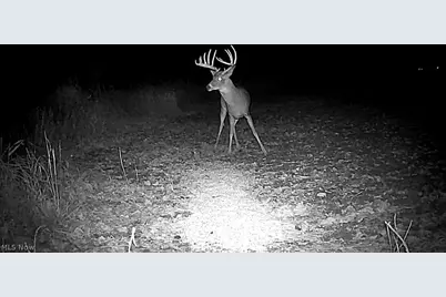 Cr 80, Frazeysburg, OH 43822 - Photo 34