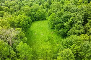 5674 Pleasant Valley Rd, Nashport, OH 43830 - Photo 46