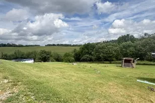 8943 County Road 39, Bloomingdale, OH 43910 - Photo 30