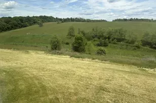 8943 County Road 39, Bloomingdale, OH 43910 - Photo 28
