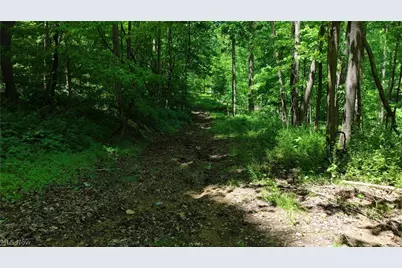 8690 US Route 62, Killbuck, OH 44637 - Photo 26
