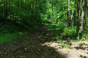8690 US Route 62, Killbuck, OH 44637 - Photo 26