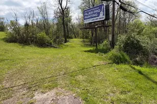 47341 Pitts Rd, Wellington, OH 44090 - Photo 16