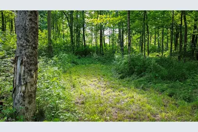 Cr 425, Fresno, OH 43824 - Photo 40
