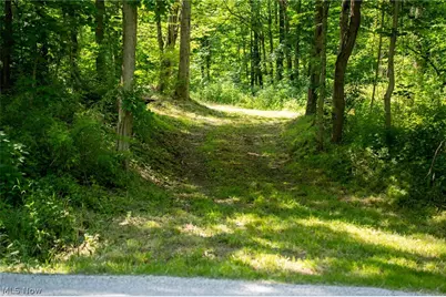 Cr 425, Fresno, OH 43824 - Photo 20