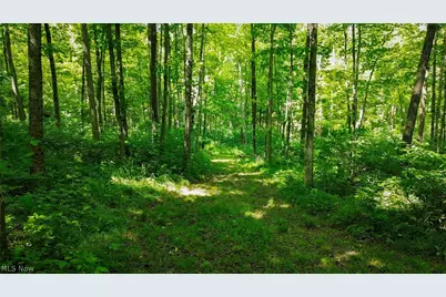 Cr 425, Fresno, OH 43824 - Photo 44