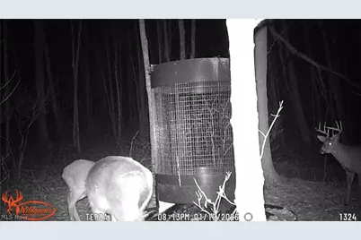 Cr 425, Fresno, OH 43824 - Photo 50