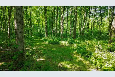Cr 425, Fresno, OH 43824 - Photo 34