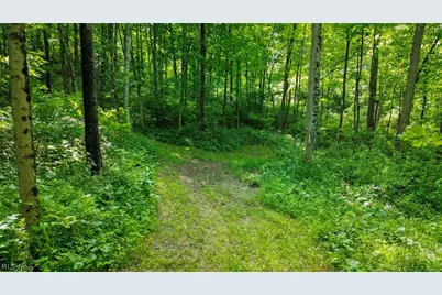 Cr 425, Fresno, OH 43824 - Photo 30