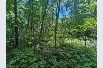 Keffer Rd, Stockport, OH 43787 - Photo 20
