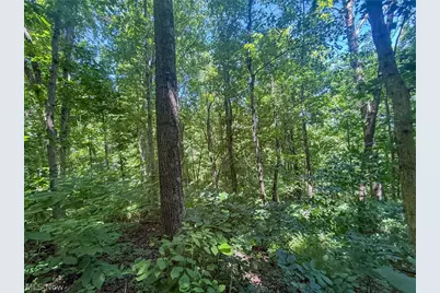Keffer Rd, Stockport, OH 43787 - Photo 18