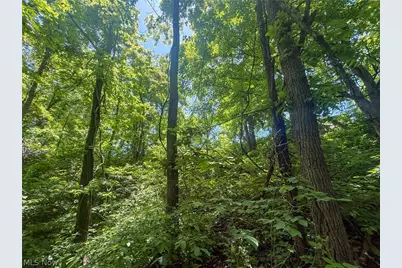 Keffer Rd, Stockport, OH 43787 - Photo 4