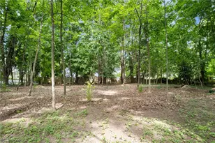 443 Merriman Rd, Akron, OH 44303 - Photo 40