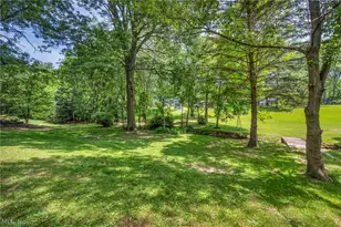 295 Hillsdale Cir, Wadsworth, OH 44281 - Photo 28