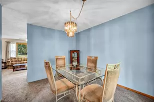 295 Hillsdale Cir, Wadsworth, OH 44281 - Photo 10