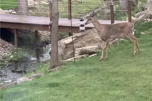 6476 Harbor Dr NW, Canton, OH 44718 - Photo 6