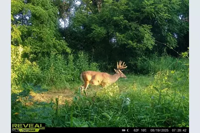 Taylor Road, Cambridge, OH 43725 - Photo 10