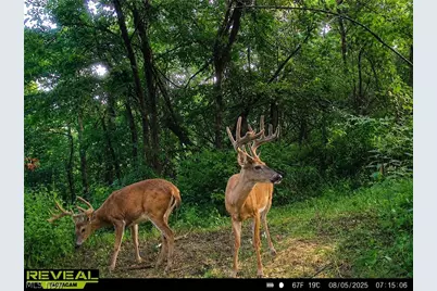 Taylor Road, Cambridge, OH 43725 - Photo 8