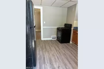 10613 Nelson Avenue, Loveland, OH 44105 - Photo 6